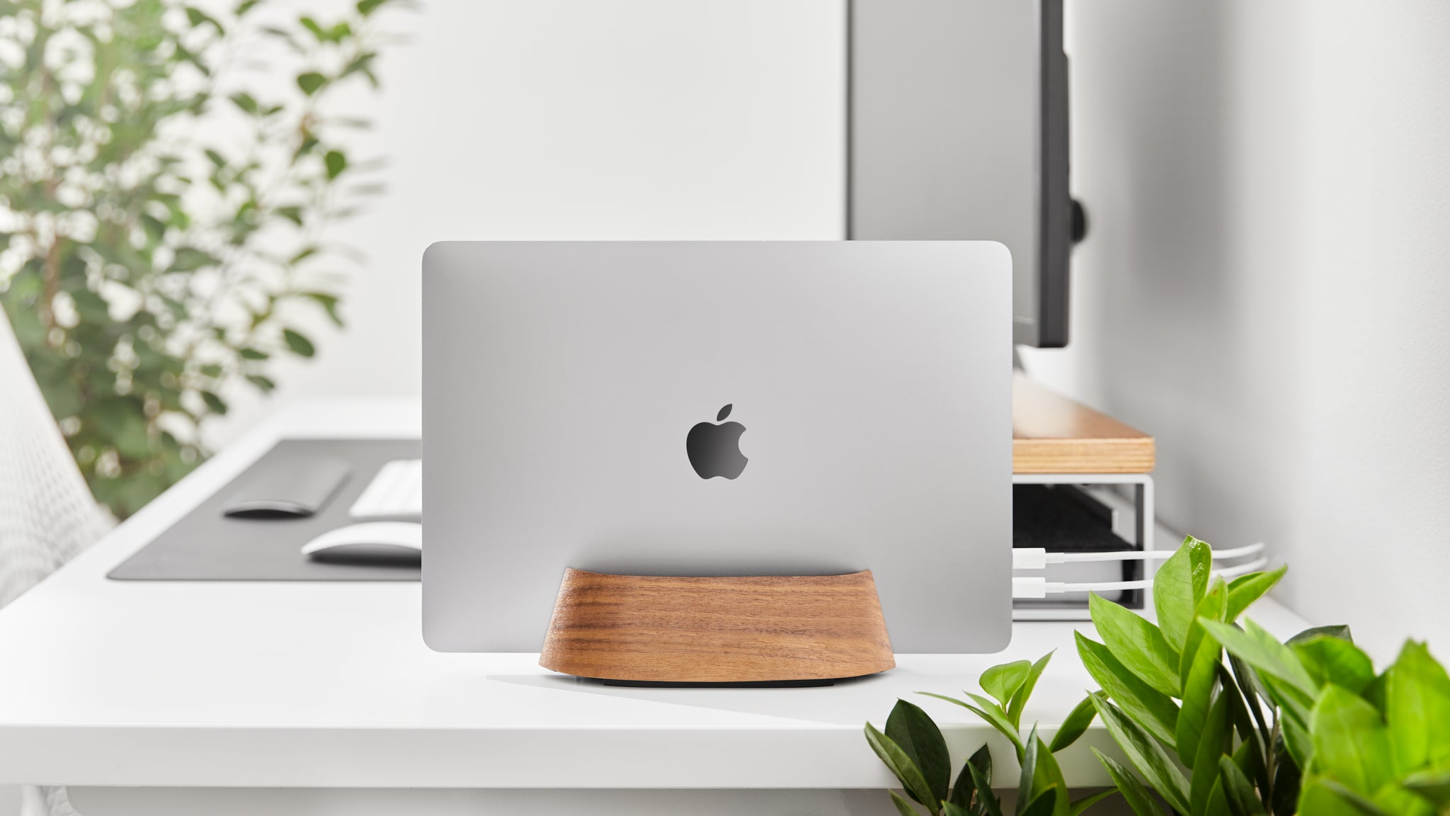 Wood Vertical Laptop Stand in Black Walnut or Maple – HumanCentric